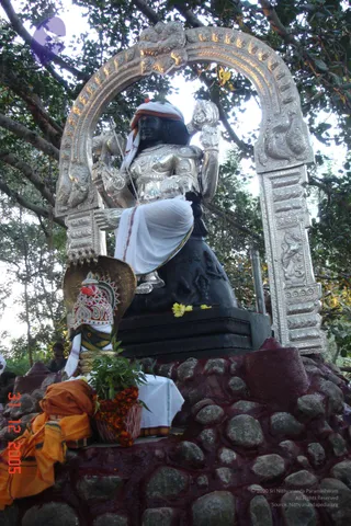 DSC00012_CMP_WM