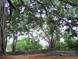 2005-GLIMPSES-OF-ADIKAILAASA-IN-SUMMER