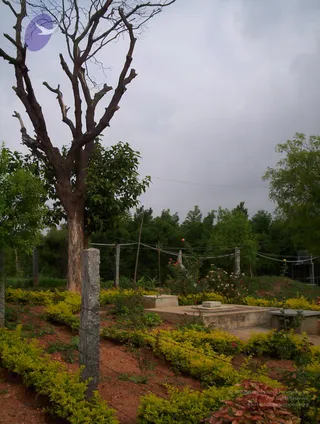 2005-GLIMPSES-OF-ADIKAILAASA-IN-SUMMER