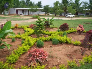 2005-GLIMPSES-OF-ADIKAILAASA-IN-SUMMER