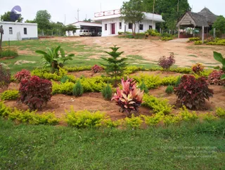 2005-GLIMPSES-OF-ADIKAILAASA-IN-SUMMER