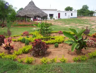 2005-GLIMPSES-OF-ADIKAILAASA-IN-SUMMER