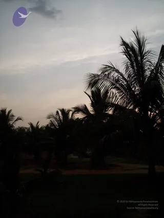 2005-GLIMPSES-OF-ADIKAILAASA-IN-SUMMER