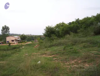 2005-GLIMPSES-OF-ADIKAILAASA-IN-SUMMER