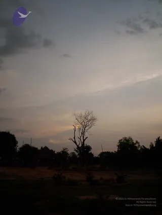 2005-GLIMPSES-OF-ADIKAILAASA-IN-SUMMER