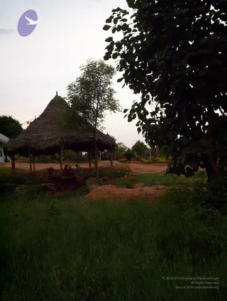 2005-GLIMPSES-OF-ADIKAILAASA-IN-SUMMER