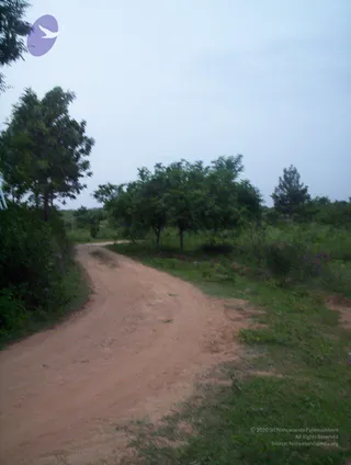 2005-GLIMPSES-OF-ADIKAILAASA-IN-SUMMER