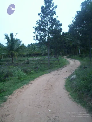 2005-GLIMPSES-OF-ADIKAILAASA-IN-SUMMER