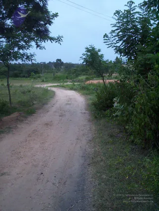 2005-GLIMPSES-OF-ADIKAILAASA-IN-SUMMER