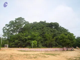 2005-GLIMPSES-OF-ADIKAILAASA-IN-SUMMER