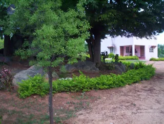 2005-GLIMPSES-OF-ADIKAILAASA-IN-SUMMER