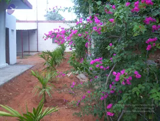 2005-GLIMPSES-OF-ADIKAILAASA-IN-SUMMER
