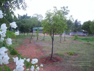 2005-GLIMPSES-OF-ADIKAILAASA-IN-SUMMER