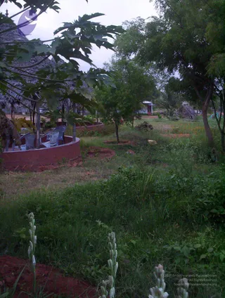 2005-GLIMPSES-OF-ADIKAILAASA-IN-SUMMER