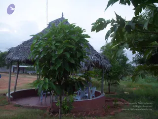 2005-GLIMPSES-OF-ADIKAILAASA-IN-SUMMER