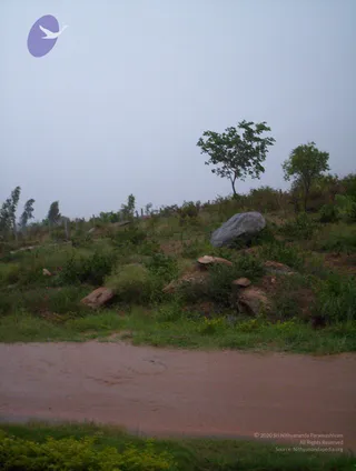 A photograph of an open, scrubby hillside under a pale grey sky. Several trees with green foliage stand on the slope, including one tall tree at upper right, and a large grey boulder sits among low shrubs, grass and scattered reddish rocks. In the foreground a wet reddish-brown dirt track or path runs across the frame, with green grass and shrubs along its near edge. No people, deities or ritual activity are visible.