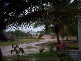 2005-GLIMPSES-OF-ADIKAILAASA-IN-SUMMER