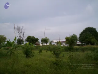 2005-GLIMPSES-OF-ADIKAILAASA-IN-SUMMER