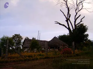 2005-GLIMPSES-OF-ADIKAILAASA-IN-SUMMER