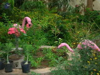 DSCN0144_CMP_WM