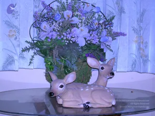 DSCN0148_CMP_WM
