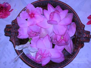 DSCN0173_CMP_WM