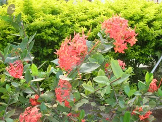 DSCN0283_CMP_WM