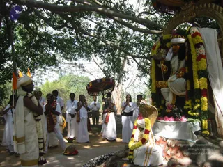 March 08 2005