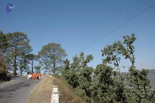 Img0735_CMP_WM