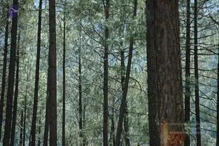 Img0758_CMP_WM