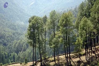 Img0759_CMP_WM