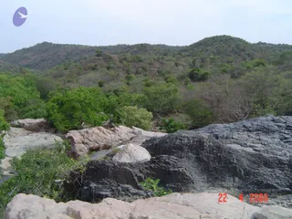 DSC01043_CMP_WM