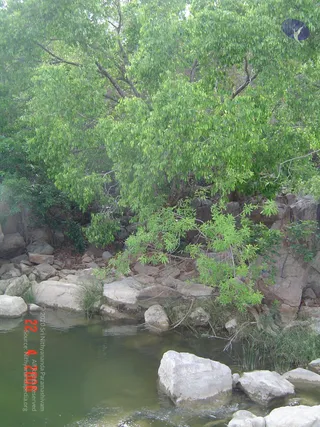 DSC01057_CMP_WM
