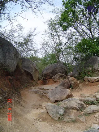 DSC01084_CMP_WM