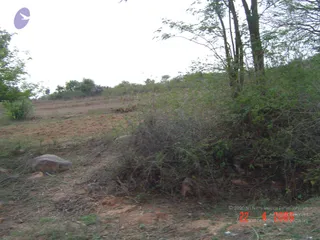 April 23 2006