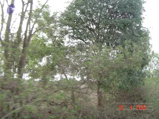 April 23 2006