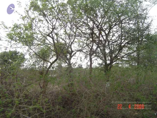 April 23 2006
