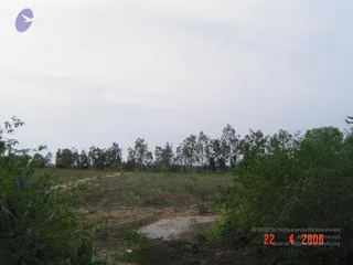 April 23 2006
