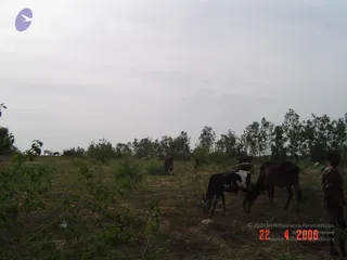 April 23 2006