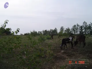 April 23 2006