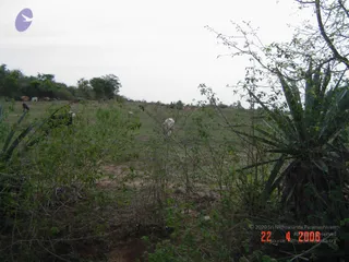 April 23 2006