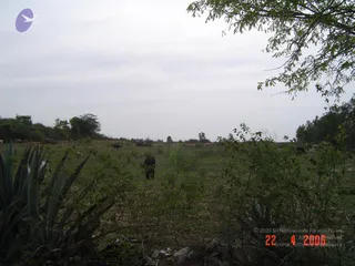 April 23 2006