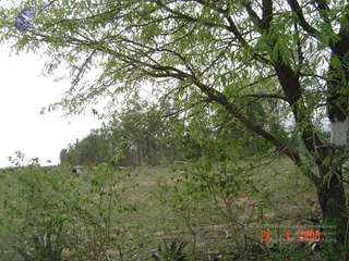 April 23 2006