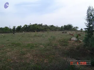 April 23 2006