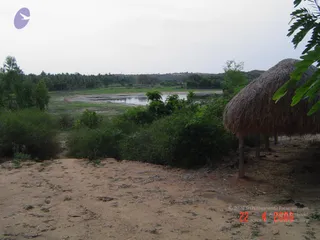DSC01111_CMP_WM