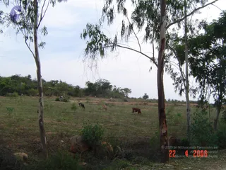 April 23 2006