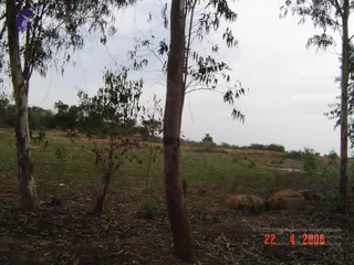 April 23 2006