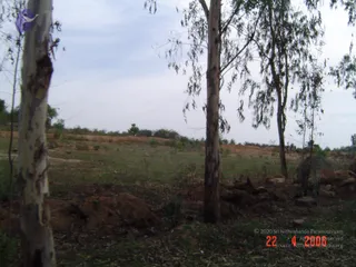 April 23 2006