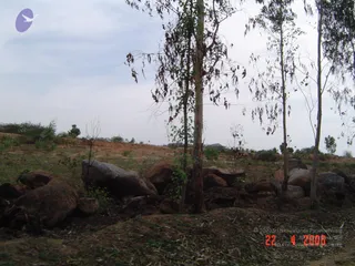 April 23 2006