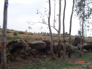 April 23 2006